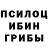 Галлюциногенные грибы GOLDEN TEACHER Man Pac