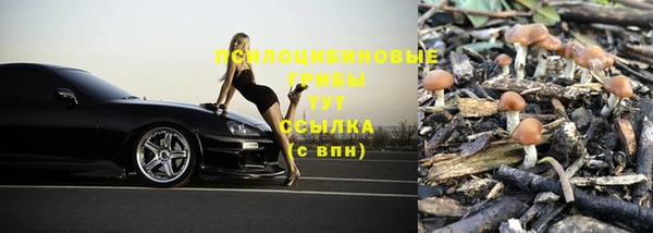 a pvp Балабаново