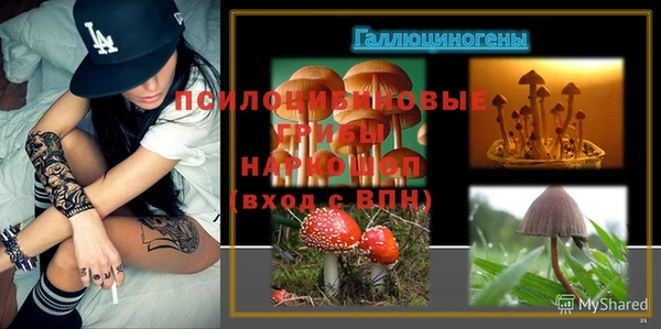 a pvp Балабаново