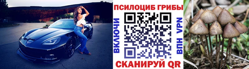Псилоцибиновые грибы ЛСД Льгов