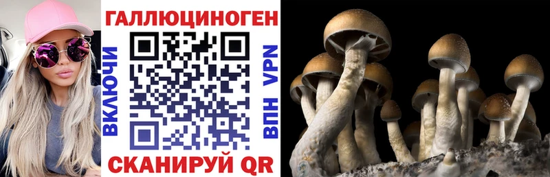 Псилоцибиновые грибы Cubensis  Купить  Льгов 